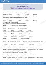 Đề số 1 - Đề kiểm tra học kì 1 - Tiếng Anh 11 mới